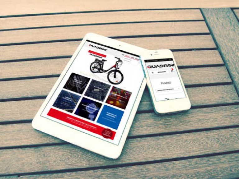 quadrinistore1