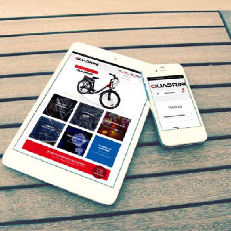quadrinistore1