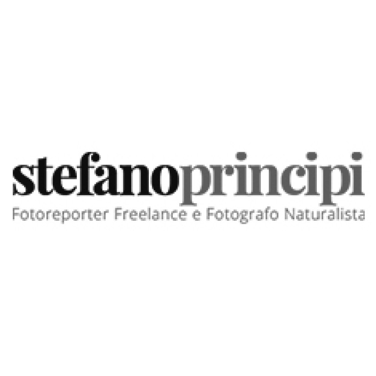 stefano-principi