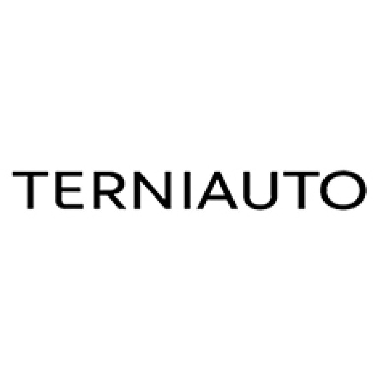 terniauto